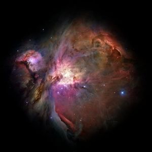 Meet your Posher, Paul